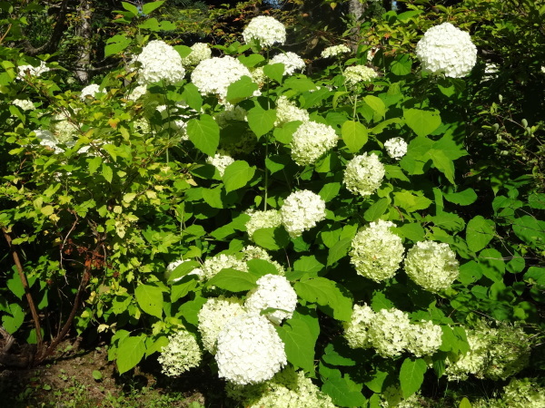 f0369840_21251926.jpg