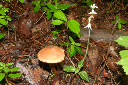 e0172950_19461951.jpg