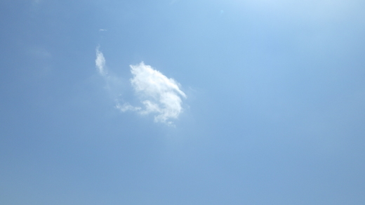 a0004752_11365793.jpg