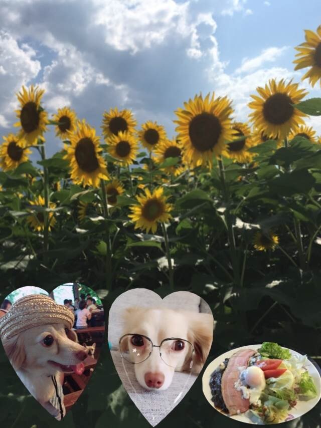 c0240652_18410146.jpeg