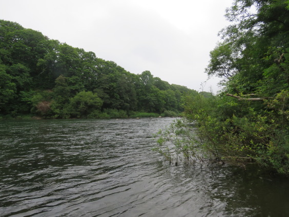 b0366555_12271859.jpg