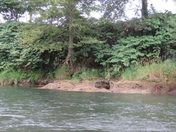 b0366555_12290511.jpg