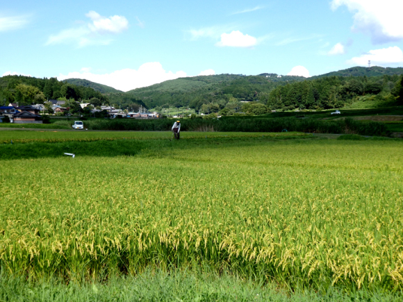 d0218056_22324713.jpg