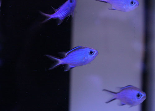 c0165758_17561844.jpg