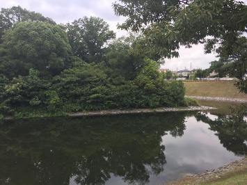 c0051760_21404168.jpg