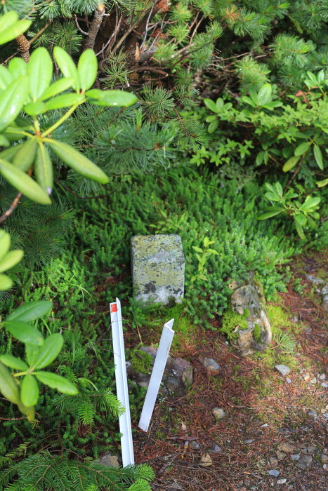 e0338862_19302555.jpg