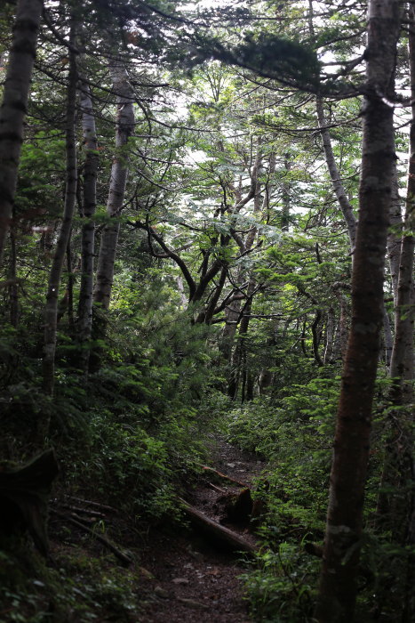 e0338862_19302585.jpg