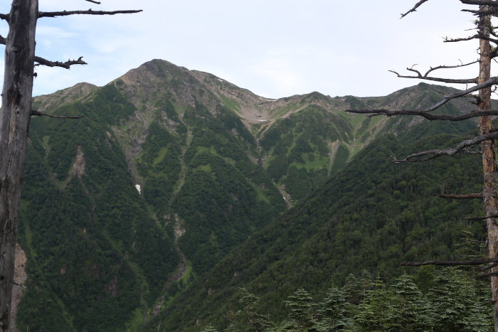 e0338862_19393036.jpg