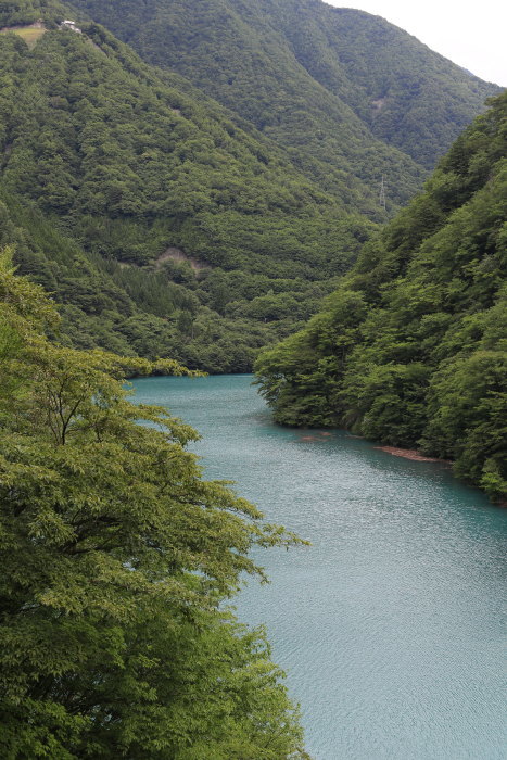 e0338862_19544925.jpg