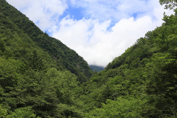 e0338862_19545054.jpg