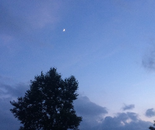 a0240971_00521187.jpeg