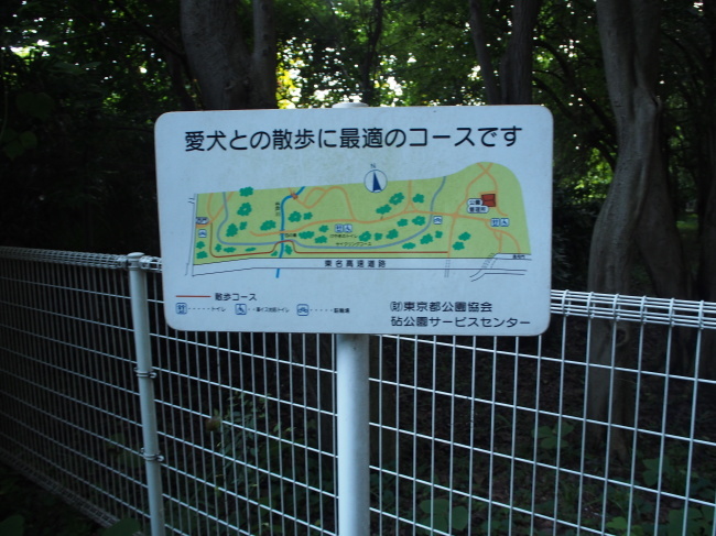 b0246876_21355598.jpg