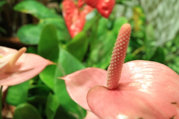 f0377376_18384373.jpg