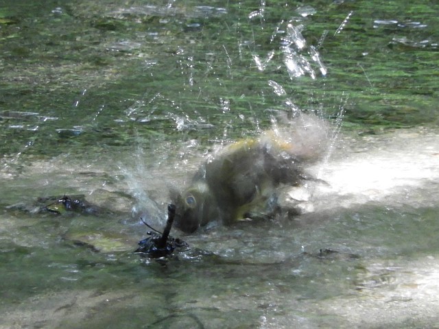 f0378979_15355075.jpg