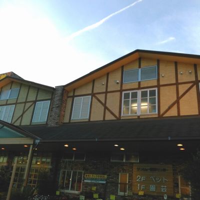 f0148582_2120159.jpg