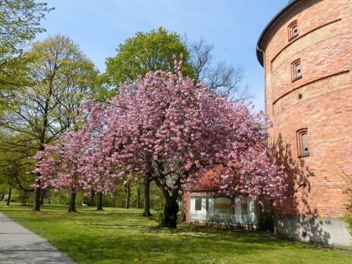 b0214184_04381258.jpg