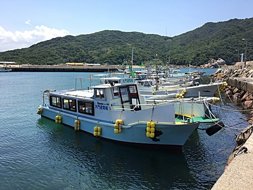 e0086885_20331255.jpg