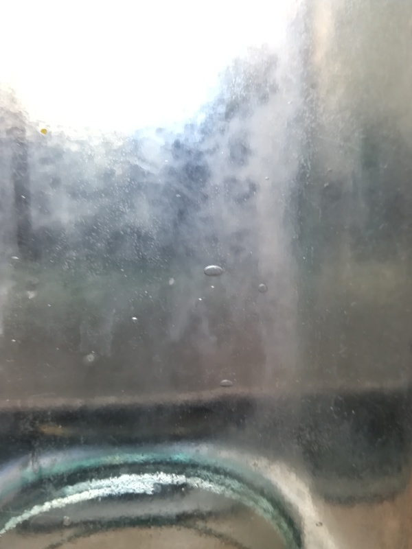 e0362685_19134113.jpg