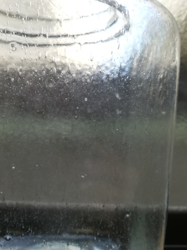 e0362685_20212207.jpg