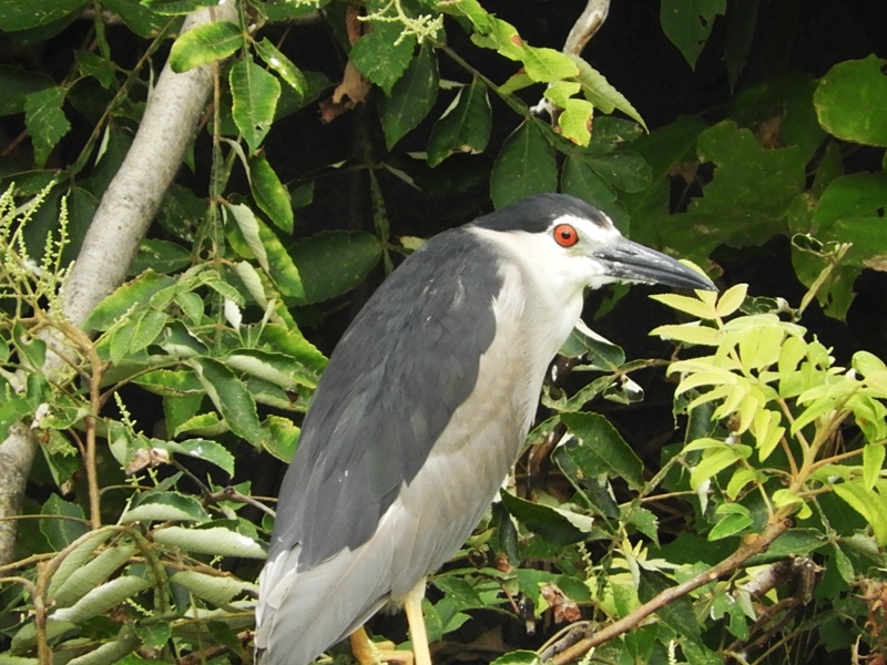 f0357487_22531665.jpg