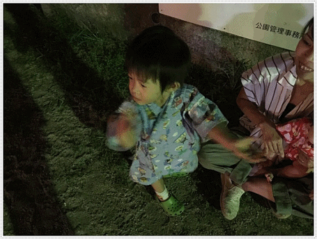 b0175688_22573805.gif