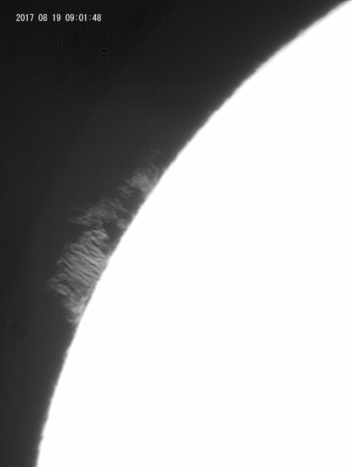 e0174091_11395090.jpg