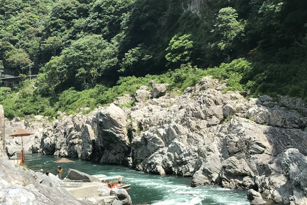 b0290297_20502509.gif