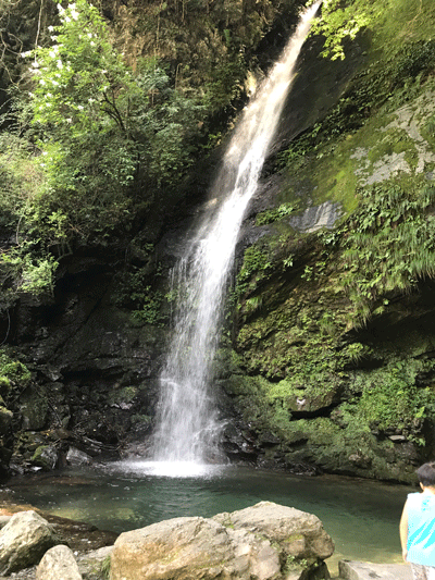b0290297_21090711.gif