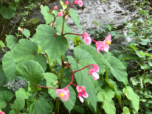 b0290297_21100995.gif