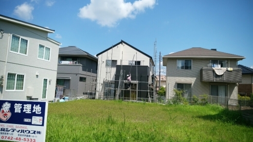 e0116798_11040701.jpg
