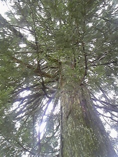b0366199_09083468.jpg