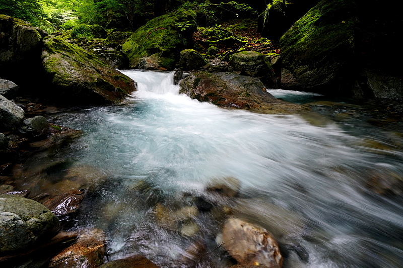 c0339900_20522049.jpg
