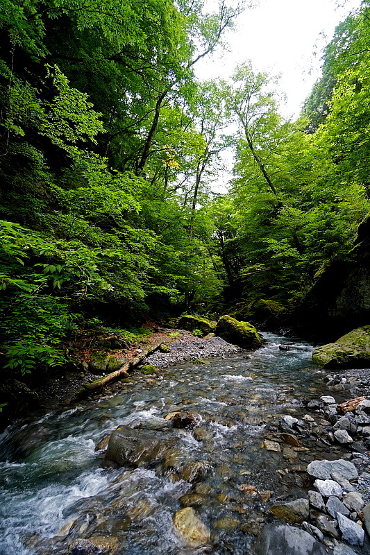 c0339900_20543713.jpg