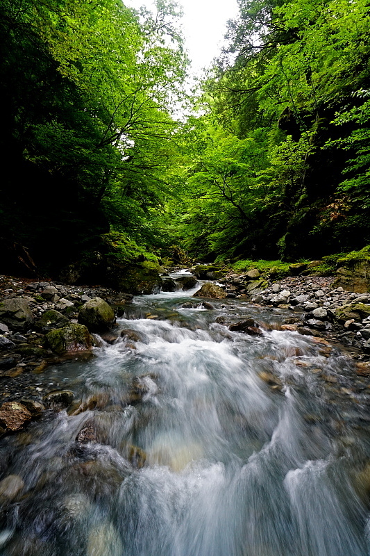 c0339900_20550547.jpg
