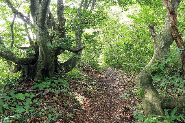 e0137200_1350385.jpg