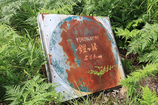 e0137200_13505272.jpg