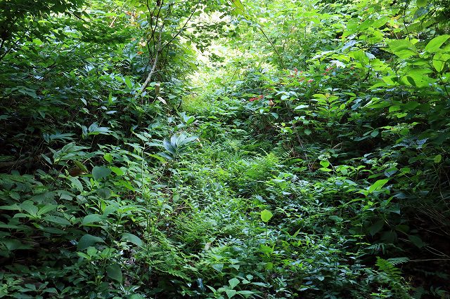 e0137200_13562879.jpg