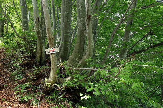 e0137200_1356297.jpg