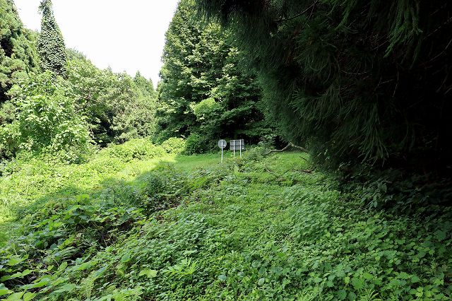 e0137200_13582867.jpg