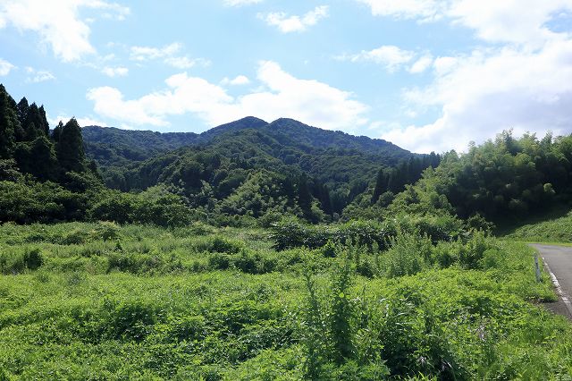 e0137200_1359095.jpg