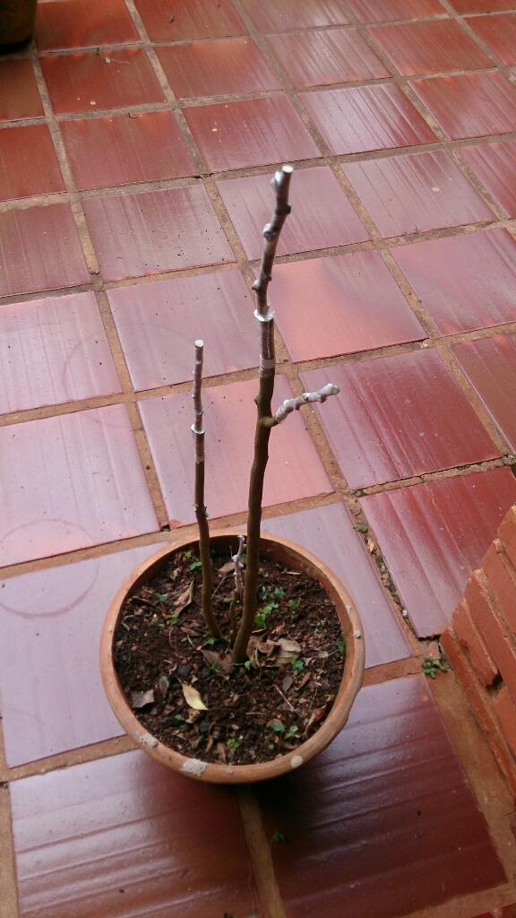 f0225800_23394740.jpg