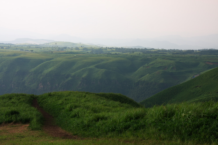 f0130601_14423159.jpg