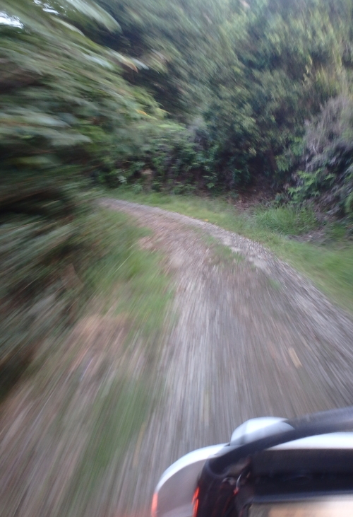 f0368610_20395004.jpg