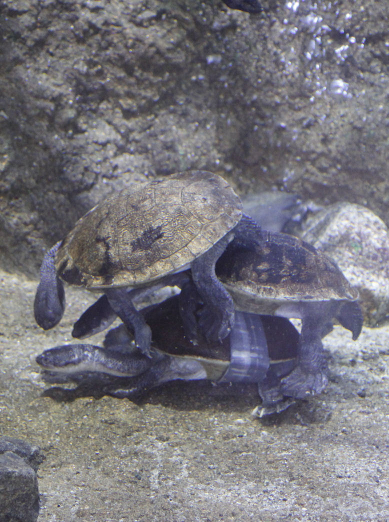 d0248715_01415707.jpg