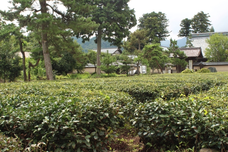 b0220318_11370820.jpg
