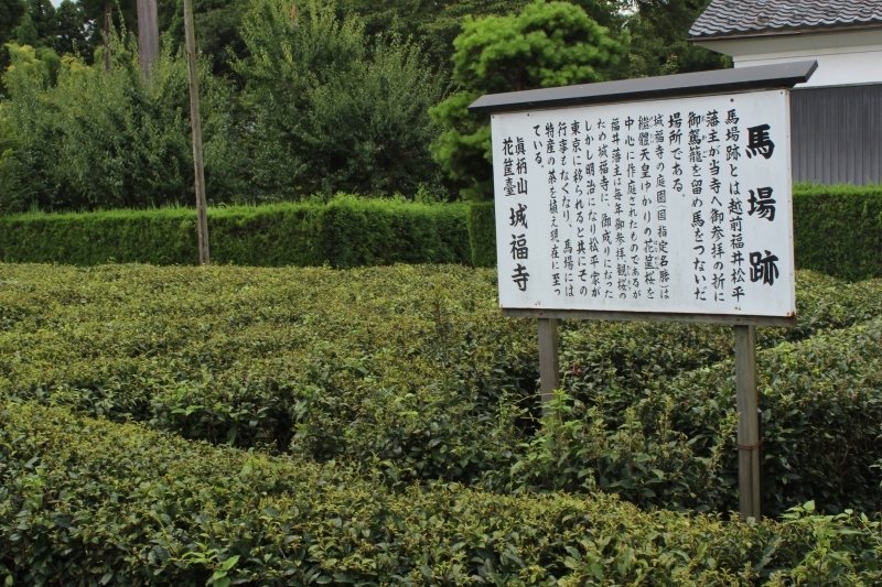 b0220318_11372204.jpg