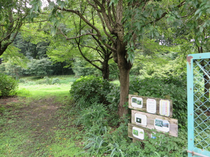 e0109622_14273567.jpg