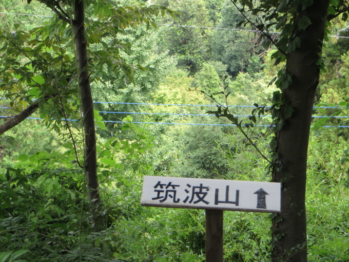 e0109622_14382487.jpg