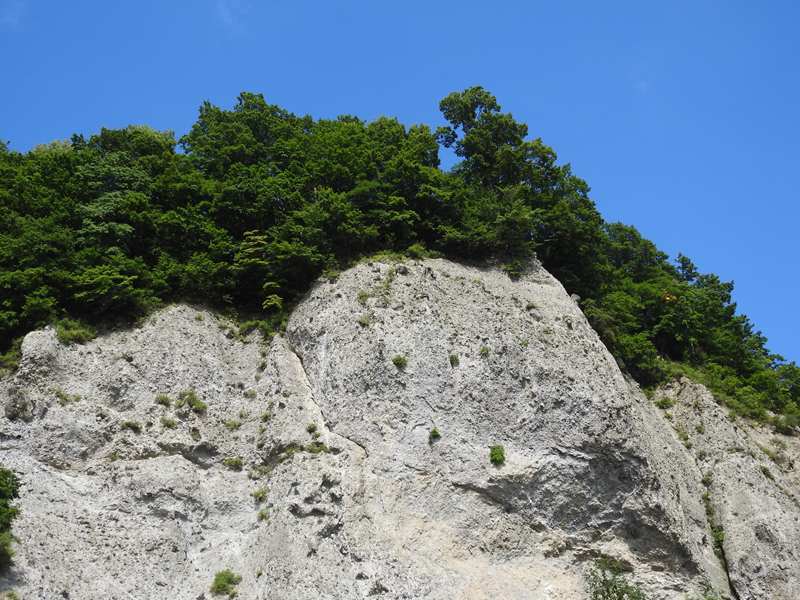 e0362222_21342882.jpg