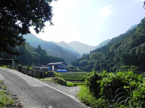 f0213825_08094170.jpg